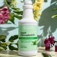 thumbnail image 2 of Chlorophyll Nature's Sunshine Líquido Extra Strength 473 ml, 2 of 7