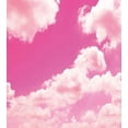 thumbnail image 3 of Coral Duvet Cover Set, Pink Sky with Clouds Conceptual Airy Fantasy Dream Soft Spring Sunset, Decorative 3 Piece Bedding Set with 2 Pillow Shams, Calking Size, Pale Coral Pink, by Ambesonne, 3 of 3