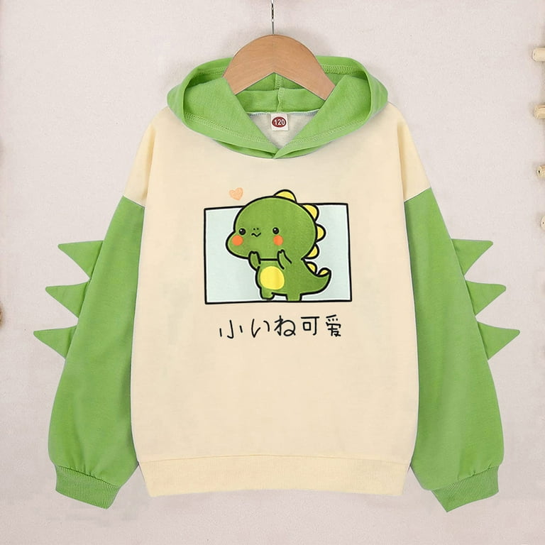 Dinosaur discount kids hoodie