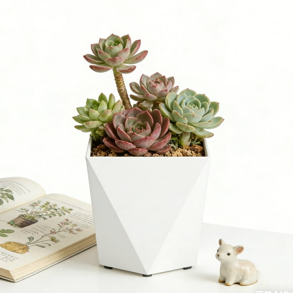 White Plastic Flower Pot Diamond Shape Planter for Indoor Plants and Flowers, Modern Minimalist Decor for Living Room or Balcony