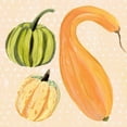 thumbnail image 3 of Warren, Annie 20x20 Black Modern Framed Museum Art Print Titled - Decorative Gourd I, 3 of 5
