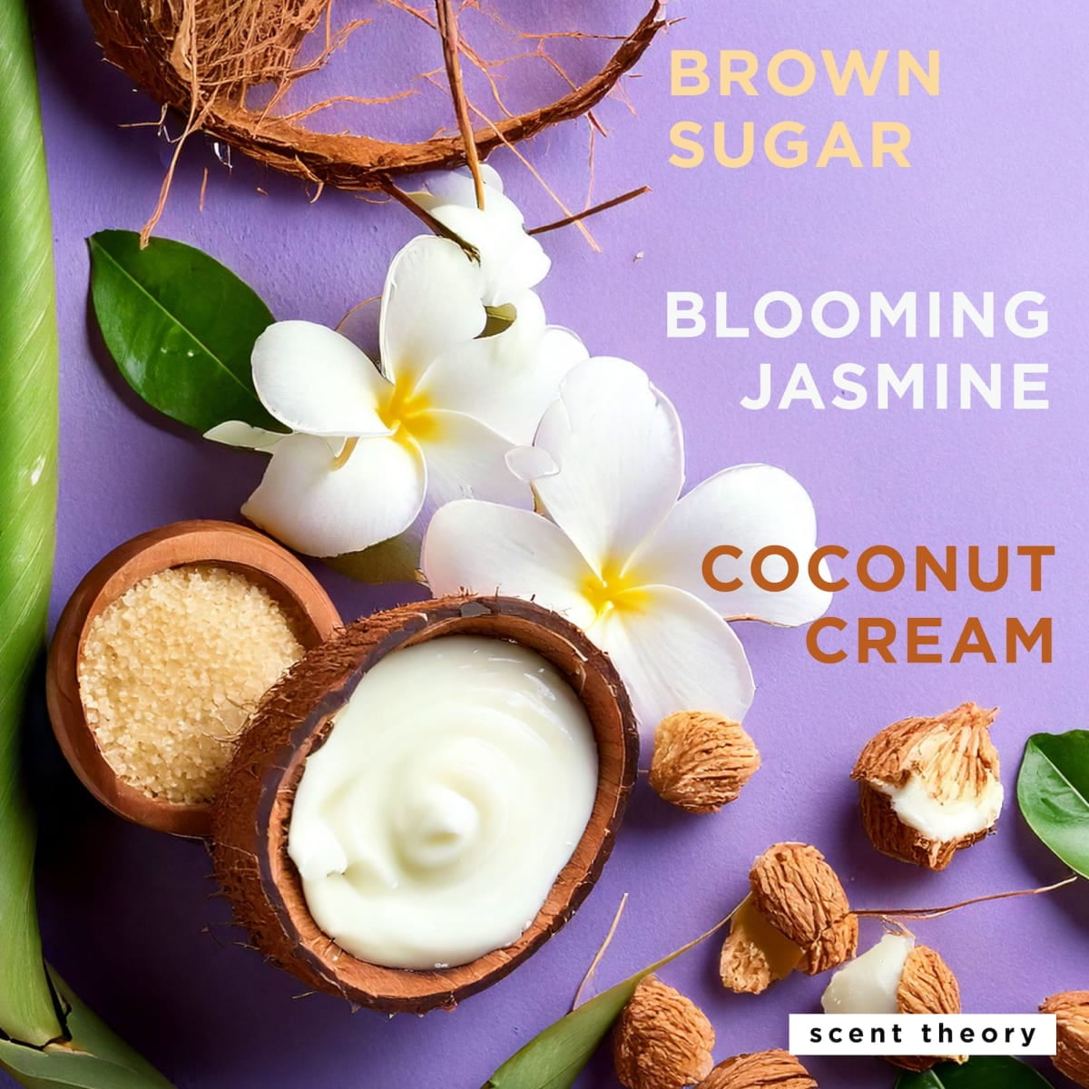 Scent Theory Hand and Body Cream with Shea Butter for All Skin Types, Coconut Dreams, 8 oz