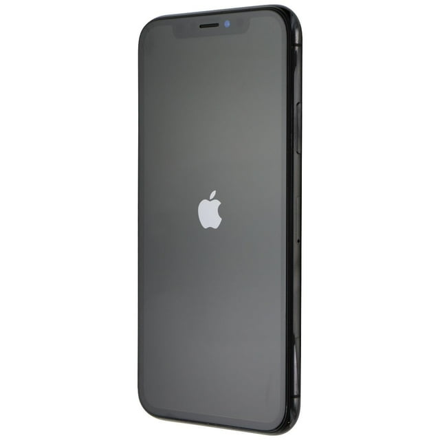 Refurbished Apple iPhone X A1865 (Fully Unlocked) 256GB Space Gray (Grade B)