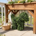 thumbnail image 6 of Poodle Puppy Topiary Trees Artificial Boxwood Topiary Trees Outdoor Indoor Realistic Faux Shrubs Plants Fake Trees for Home Offices Porch Backyard Balcony Garden Decor, 6 of 6