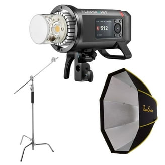 Profoto B10X Plus Off-Camera Flash and Continuous Light Bundle