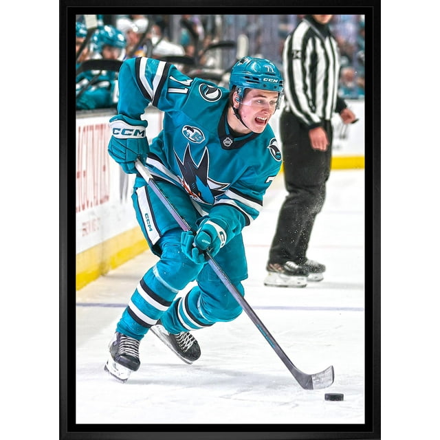 Macklin Celebrini Toile Encadrée 20x29 Requins de San Jose