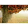 thumbnail image 3 of Sillen, Christina 14x11 Black Modern Framed Museum Art Print Titled - Autumn Fog, 3 of 5