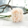 thumbnail image 3 of VerPetridure Simulation Flower Peony Bouquet Gf14921B Champagne Peach Artificial Silk Fake Flowers Peony Floral Wedding Bouquet Bridal Hydrangea C, 3 of 3