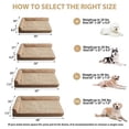 thumbnail image 5 of Cama ortopédica grande BFPETHOME para perros grandes sofá impermeable con funda extraíble, 5 of 5