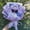 Purple, variant on My Melody Kuromi Plush Bouquet Stuffed Cinnamoroll Plush Dolls Christmas Day Birthday Gift