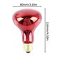 thumbnail image 3 of Bombilla Infrarroja R80, Bombilla Infrarroja Para Mascotas De 100W, Bombilla Infrarroja Que Proporciona Calor Con Flujo Luminoso De 300Lm, Boca De Tornillo E27 Para Mascotas En Interiores Speravity HA015075-00, 3 of 6