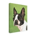 thumbnail image 2 of Trademark Fine Art Animals Canvas Art ' Dog Portrait Boston ' by Jill Sands, 2 of 4