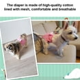 thumbnail image 3 of Pañales suaves para perros, pañales para perros, cachorros, con orificio en la cola para mascotas, pantalones fisiológicos para perros con lazo bonito, 3 of 8