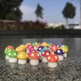 thumbnail image 4 of 20 Pcs Miniature Fairy Garden Ornaments Kit,micro Landscape Mushrooms, 4 of 5