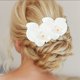 thumbnail image 2 of Ofertas Únicas 2 Pcs Clip de Pico de Pato Phalaenopsis Clips de Pelo de Perlas Falsas para Mujeres Blancas, 2 of 5