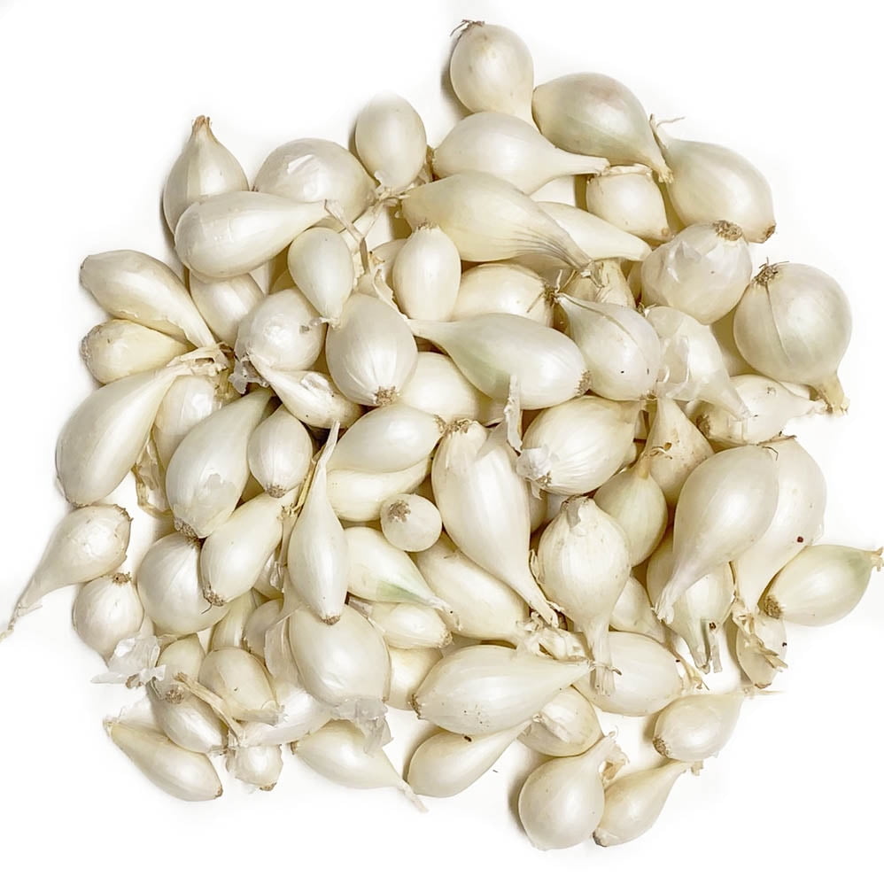 White Onion Sets 100 bulbs for planting Grow white onions or green