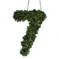 thumbnail image 1 of Modern Home 12" Real Preserved Boxwood Monogram Wreath Letters - 7, 1 of 2