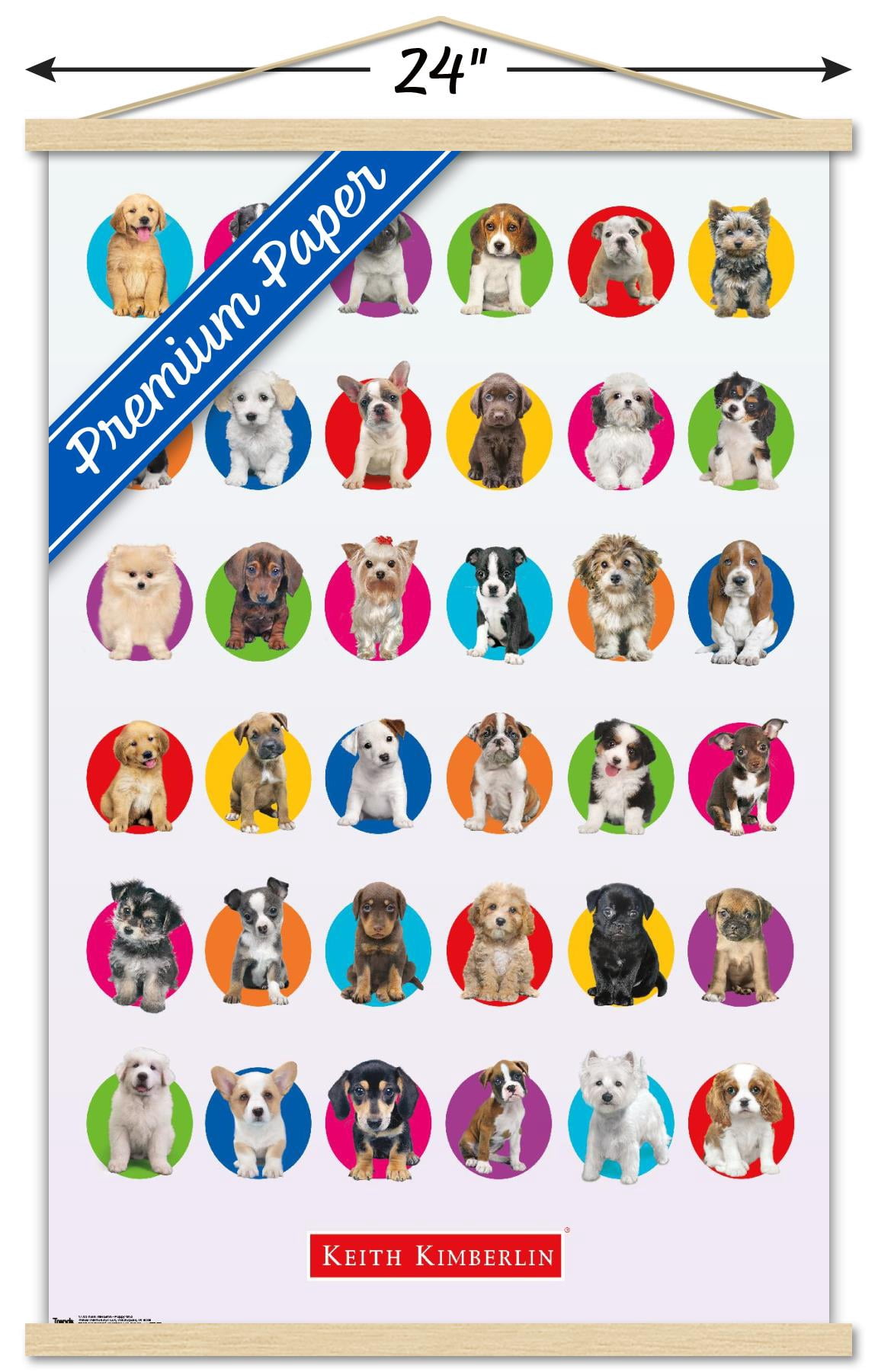 Keith Kimberlin - Puppy Grid Wall Poster with Wooden Magnetic Frame, 22.375" x 34"