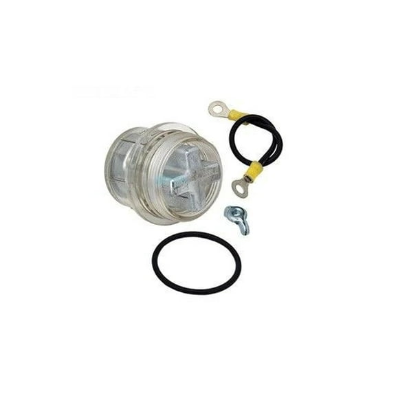 Raypak Protek Shield Assembly - 017960F