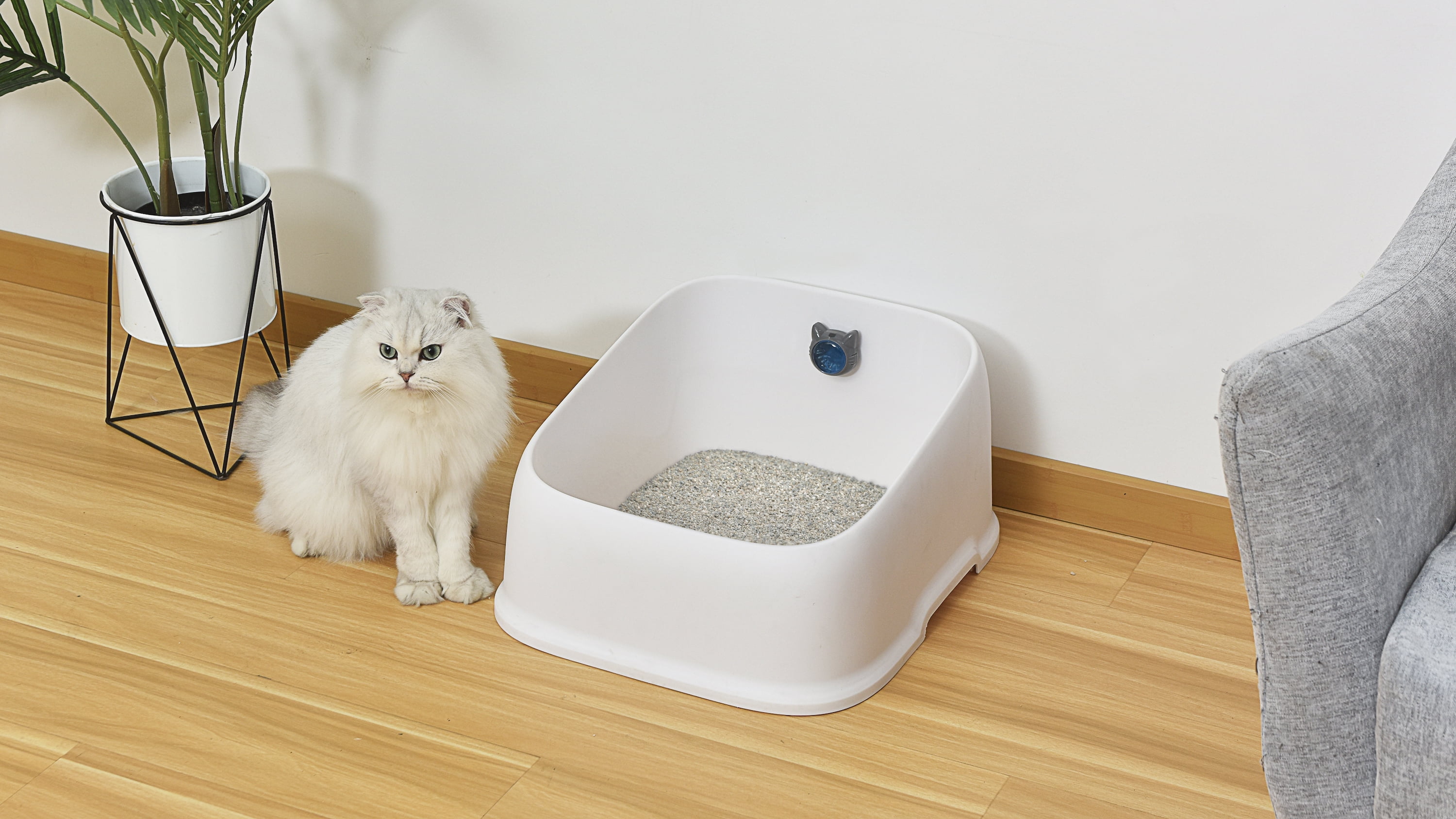 Fresh Step Litter Box Deodorizing Gel Pods, Cat Litter Box Deodorizer 1 Adhesive Pod 2 Refills