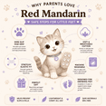 thumbnail image 6 of Red Mandarin Toddler Grip Socks 1-3 Years, 5 Pairs Unisex Gift Set, Non-Slip Cotton Socks with Grippers for Boys & Girls, 6 of 12