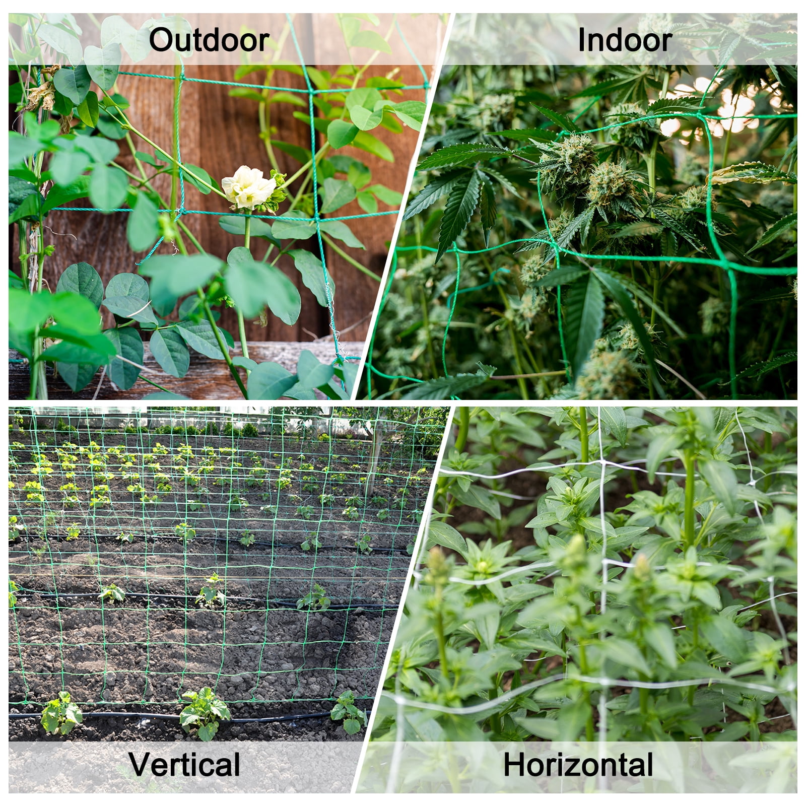 Uxcell Trellis Netting for Climbing Plants 6.6 x 16.4ft 30 Strands Heavy Duty Garden Trellis Netting Polyethylene Plant Support Net with 4" x 4" Mesh for Fruits Vegetables Cucumber