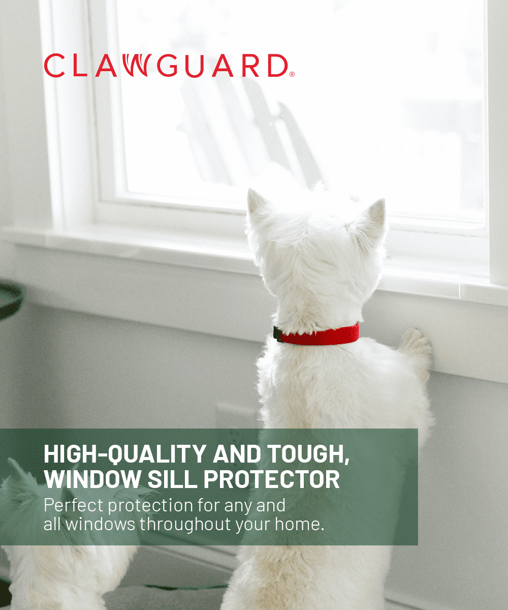Dog window sale sill guard