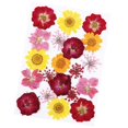 thumbnail image 2 of Flores secas prensadas, flores secas reales, flores secas mixtas decorativas para hacer joyas, manualidades de resina epoxi, arte de uñas, 2 of 9