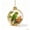 A, variant on Liamobondopolis Glowing Christmas Story Ornament, Light Up Mini Holiday Scene with Cute Dog for Christmas Tree and Winter Home