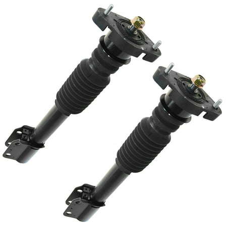 TRQ Rear Strut Assembly Set Fits Select 1988-1996 Buick Regal 1990-1994 Chevrolet Lumina 1989-1997 Oldsmobile Cutlass Supreme Pontiac Grand Prix