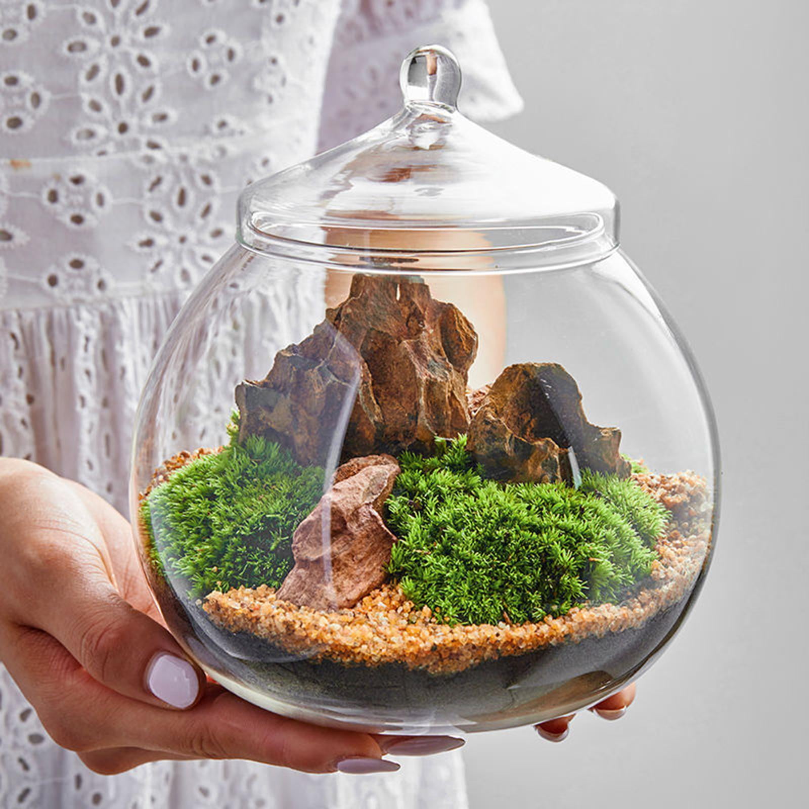yuksok Glass Plant Container, Planter Jar with Lid, 6.30'' Desktop