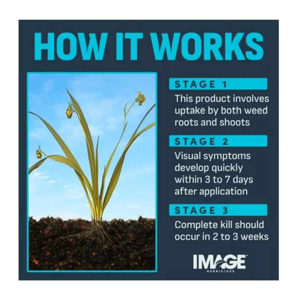 Image 100523495 All-in-One Lawn Weed Killer Concentrate 6,000 sq. ft. Coverage Area, 24 oz.