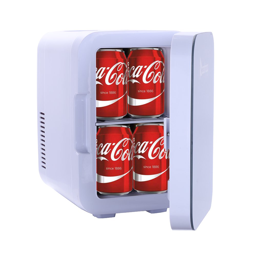 small cooler fridge