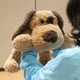 thumbnail image 4 of Weigedu Perro De Peluche Disquete Cachorro Juguete De Peluche Huggable Beagle Labrador Retriever Perros De Peluche para Niños Niñas Niños Bebé Regalo De Cumpleaños 20 Pulgadas Marrón, 4 of 9