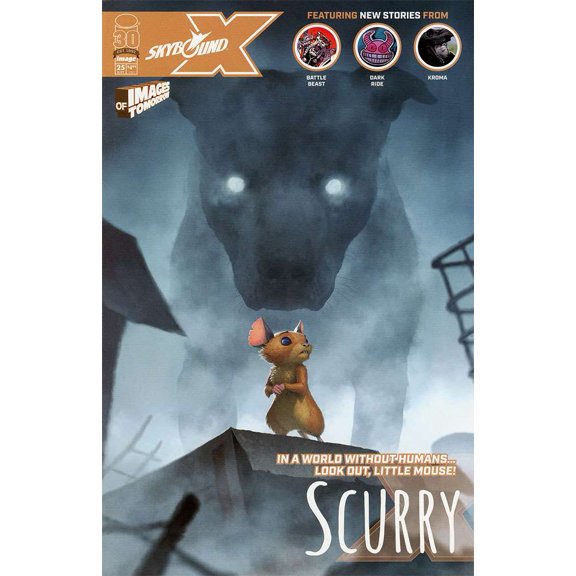 Skybound X #25D VF ; Image Comic Book
