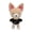 Beis, variant on Animales De Peluche Skzoo Stray Kid K Pop Animales Kawaii Modelos
