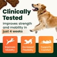 thumbnail image 4 of VetriScience GlycoFlex 2 Healthy Hip & Joint Chicken Flavored Chewable Tablets with Glucosamine & Green-Lipped Mussel, Supplement for Dogs, 120 Count, 4 of 12