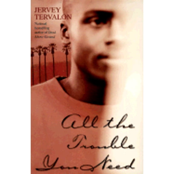 All the Trouble You Need (Hardcover) by Jervey Tervalon
