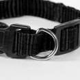 thumbnail image 3 of Pet Champion Medium Black Collar for Dogs, 3 of 8