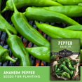 thumbnail image 6 of 5 packs Anaheim Pepper Seeds - Non-GMO Heirloom Full Sun Annual Vegetable, 6 of 6