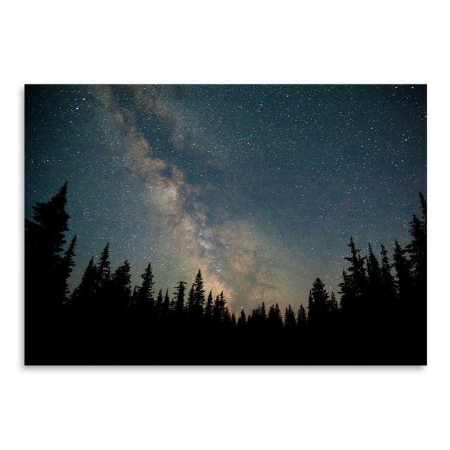 Americanflat Stars Over The Forest by Luke Gram Poster Art Print