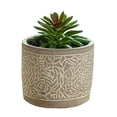thumbnail image 1 of Ionze - Decoración del hogar: suculentas artificiales, mini suculentas, pequeñas macetas de imitación, estantes, escritorios, bonitas decoraciones para la oficina, el hogar, el baño, accesorios para, 1 of 2