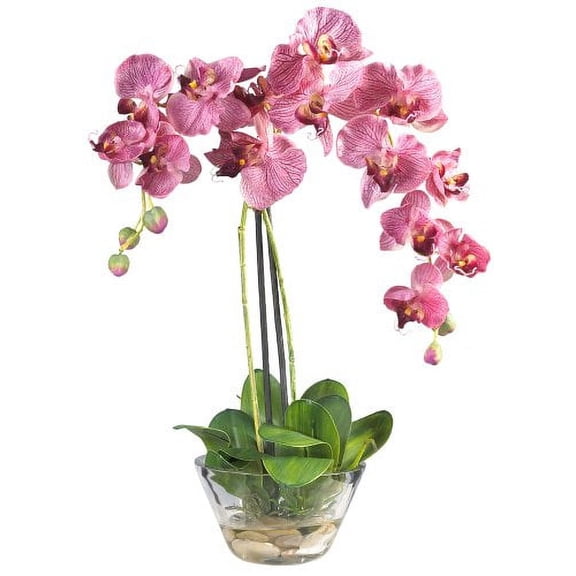 Nearly Natural Phalaenopsis with Glass Vase Silk Flower Arrangement