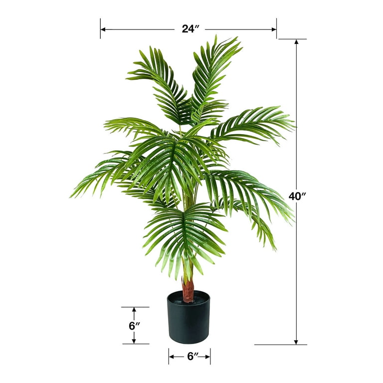 philodendron jerry horne Philodendron 'Jerry Horne'  Bold, Strongly Lobed Philodendron