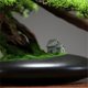 thumbnail image 5 of Bonsái artificial con maceta de cerámica for sala de estar, paisajismo, plantas artificiales de interior, adornos decorativos., 5 of 7