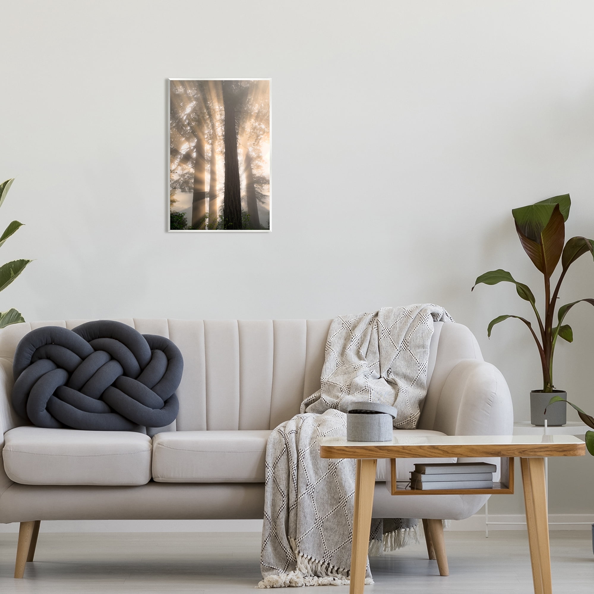 Stupell Industries Sun Rays Woodland Trees View Landscape Photography Unframed Art Print Wall Art