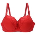 thumbnail image 5 of HAOTAGS Womens Plus-Size Bras, Seamless Push-Up Bra Lace Sports Bra Mesh Breathable Everyday Bra Red 2XL, 5 of 6