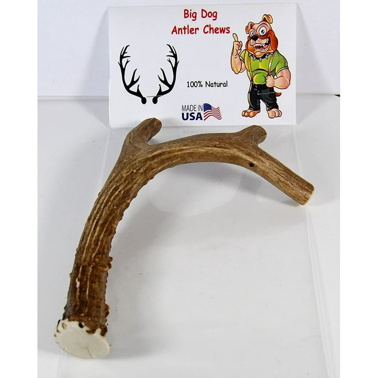Big dog hotsell antler chews