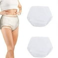 thumbnail image 1 of YOPTOP 2 Pcs Culottes d'Incontinence Imperméables Lavables et Réutilisables en Plastique, sous-Vêtements d'Incontinence Étanches, Couvre-Couche pour Adulte (Blanc Très Grand), Blanc, m, 1 of 8