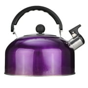 Pot Water Heater Coffee Machines Vintage Mugs Black Tea Kettle Purple Stainless Steel Make